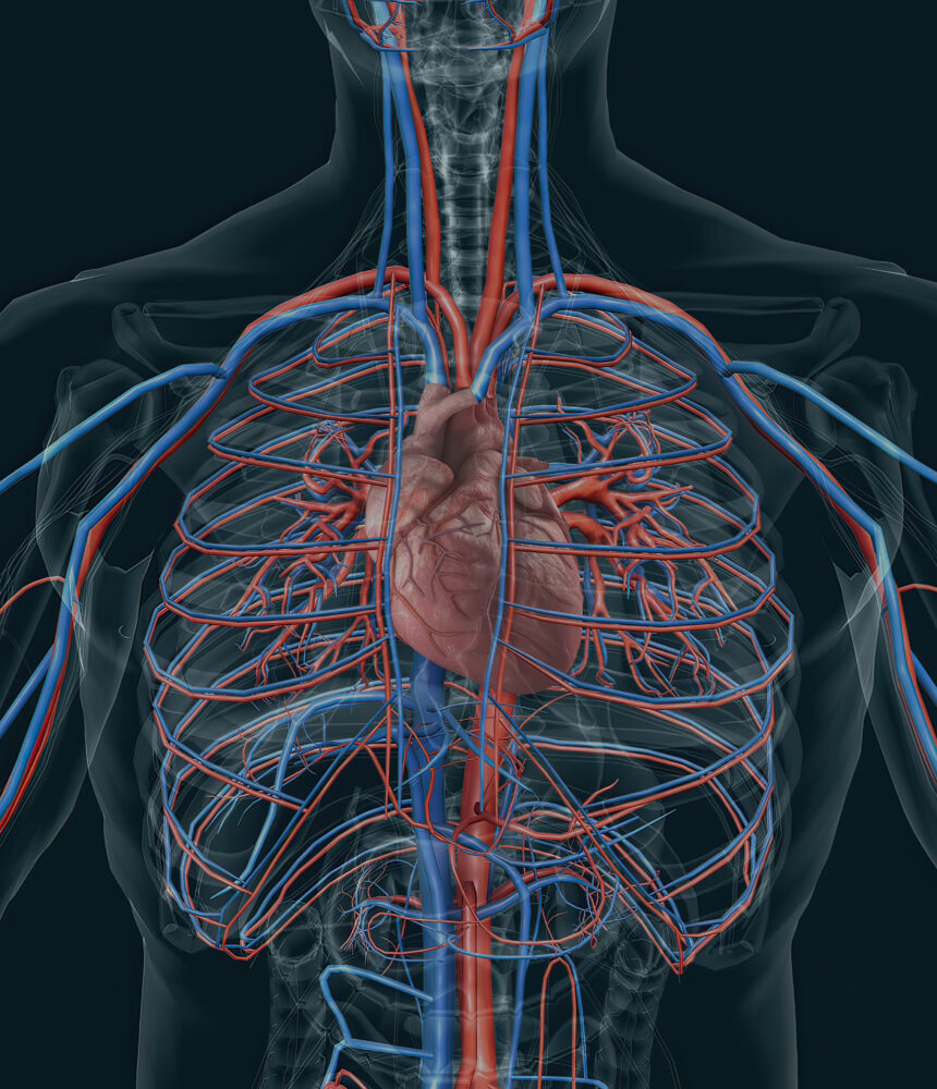 Cardiovascular & Thoracic Surgery
