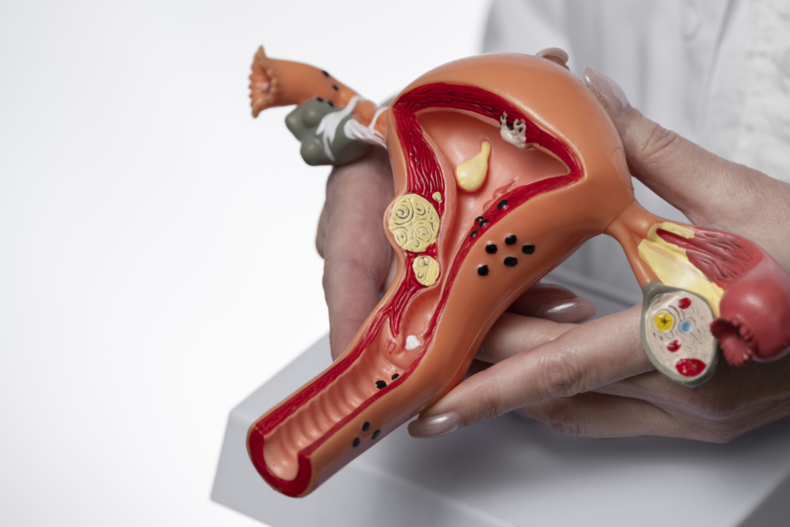 Reproductive Endocrinology